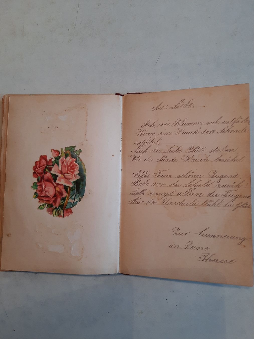 Album: Poesiealbum 1905 – Usato da Nottwil venduto da mar_jqm7 6