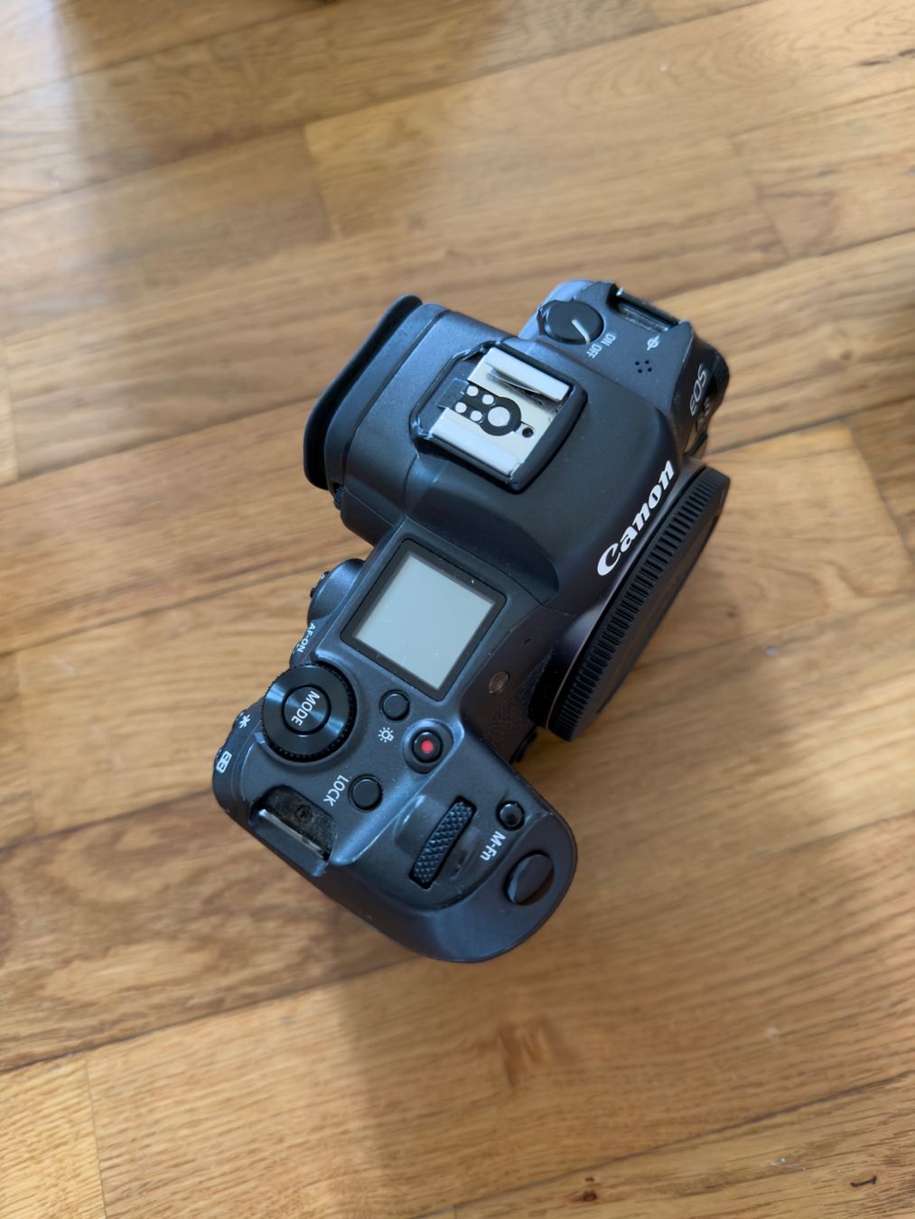 Canon Kamera: Canon EOS R5 – Gebraucht aus Felsberg von michaela_773 1