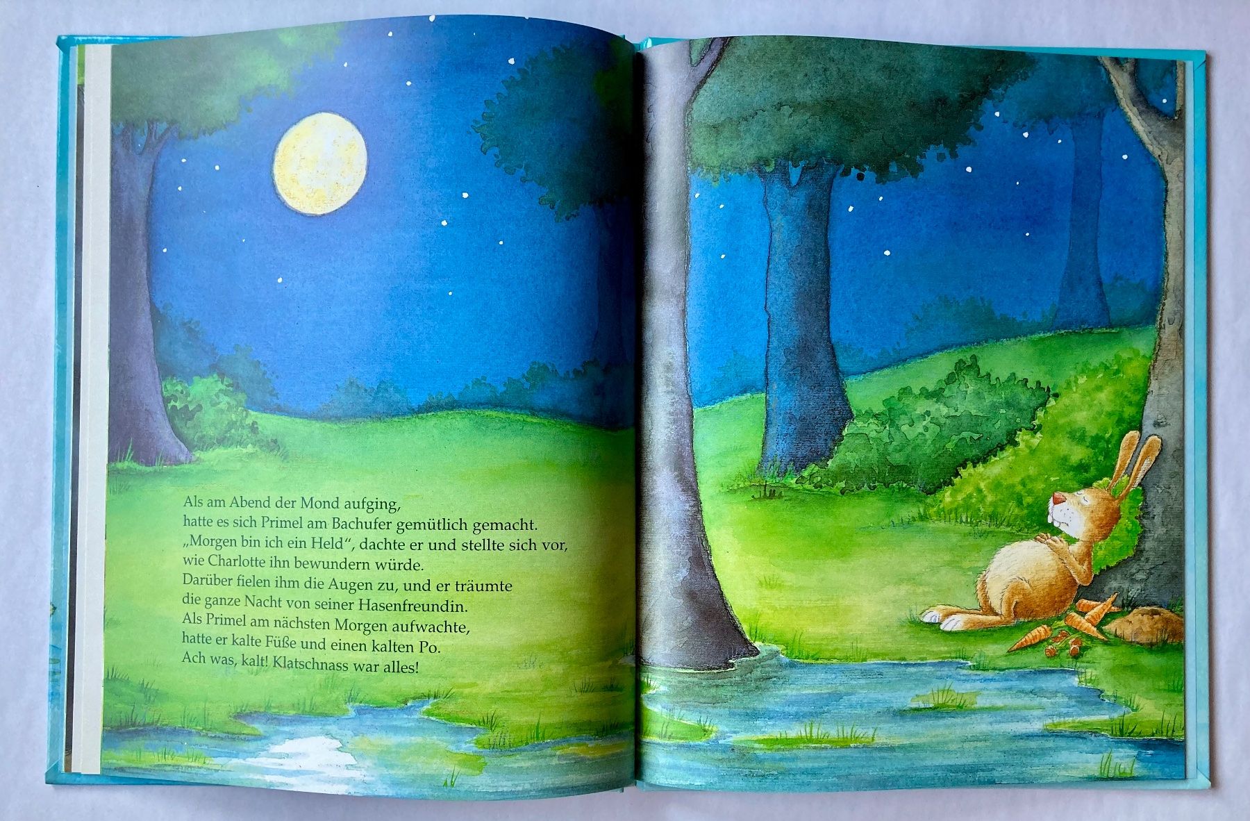 Livres: PRIMEL UND DAS ALIBI – Neuf (Voir description) à Bubendorf par Alpenheidi 8