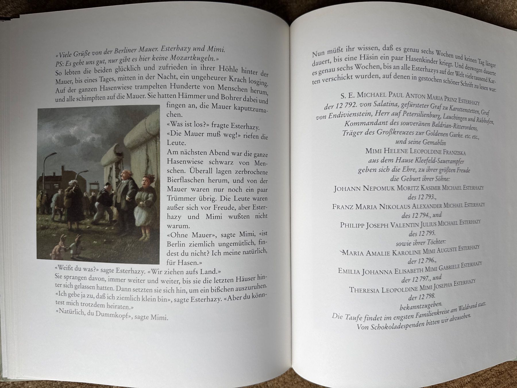 Libri: Esterhazy -Eine Hasengeschichte - Irene Dische – Usato da Aarau venduto da Kilauea 7