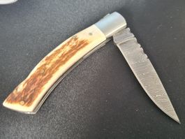 Damast Taschenmesser Horn