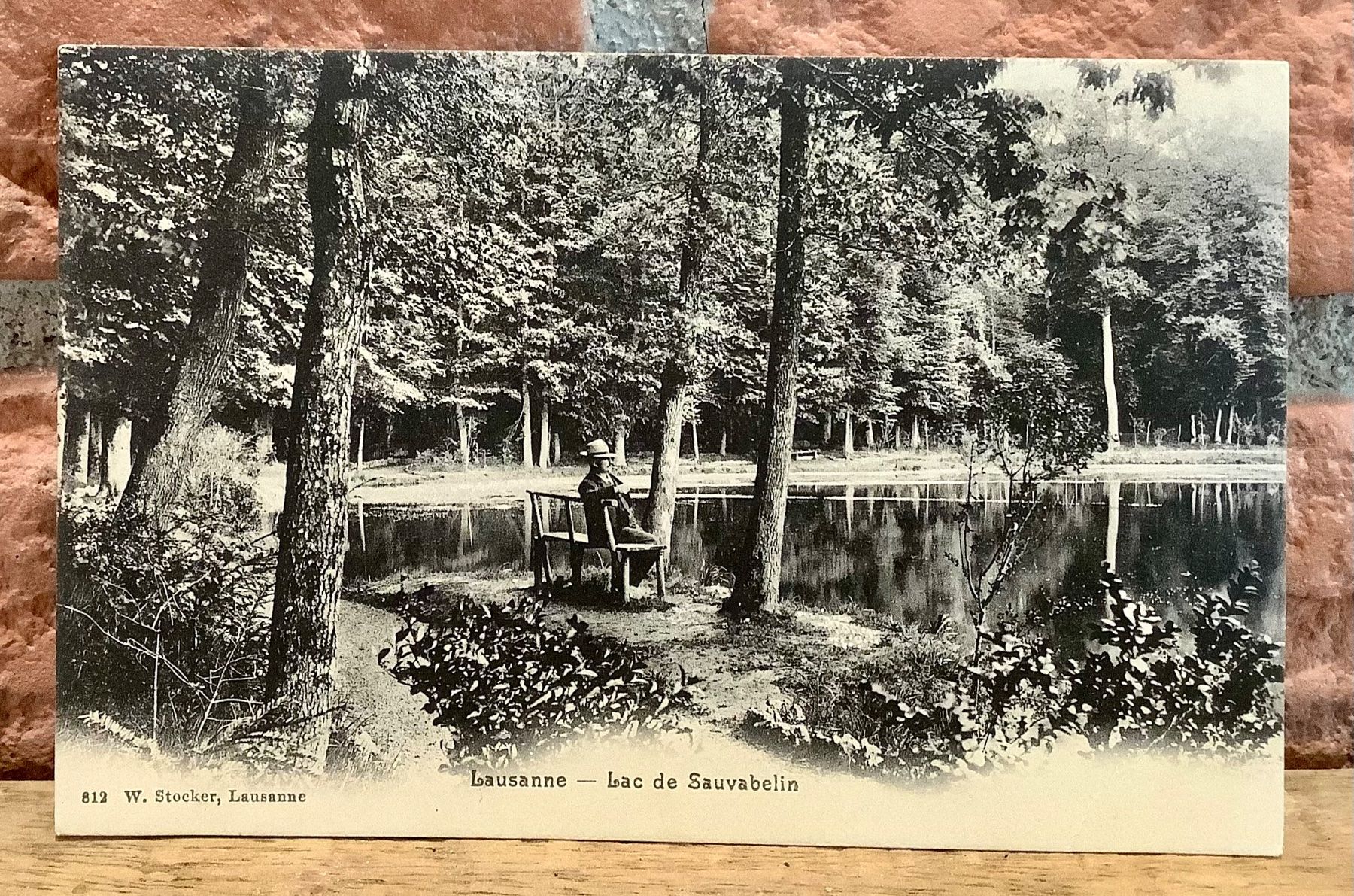 Cartoline postali: LAC DE SAUVABELIN - Lausanne - Belebt – Usato da Root venduto da ENGLAND-TREASURES