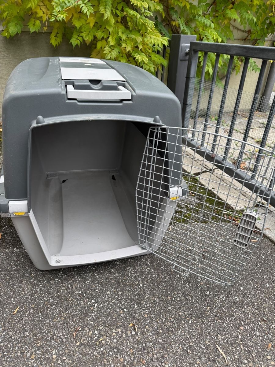 Altro in Decorazioni & Accessori: Hundetransport-Box – Usato da Langnau im Emmental venduto da hapele 2