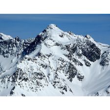 Profile image of PizCalderas3397