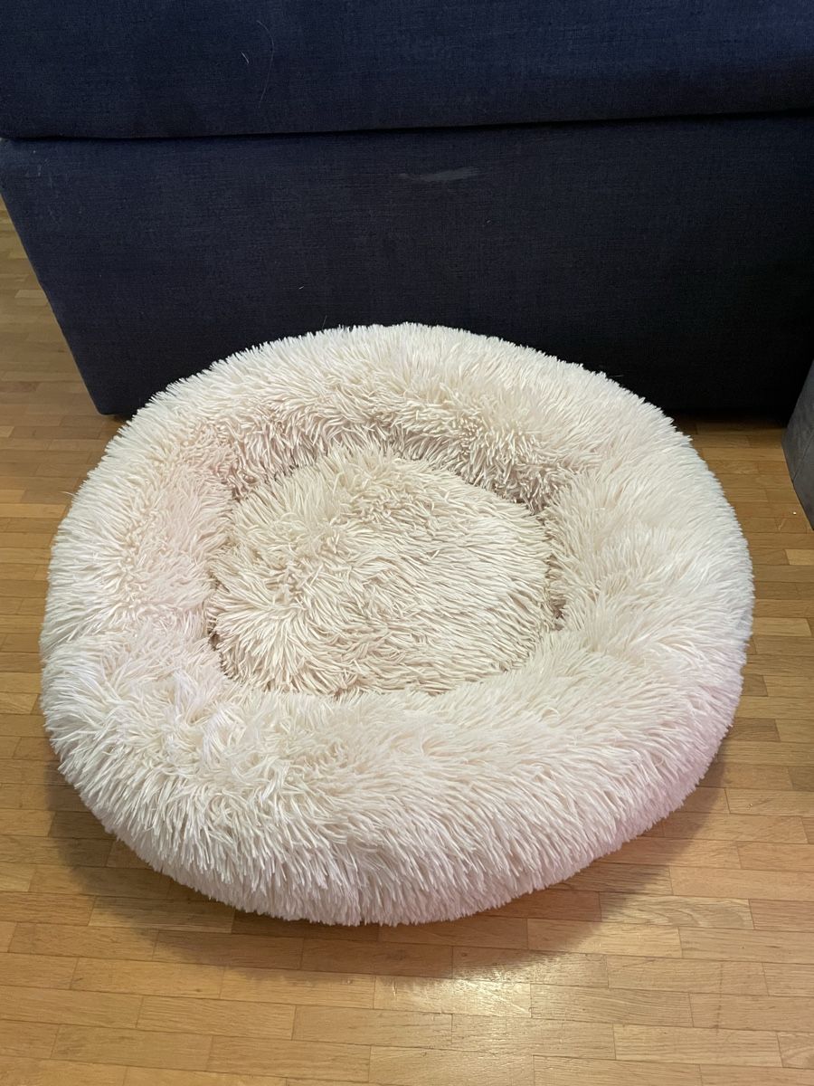 Cucce & Letti: Katzenbett/ Hundebett – Usato da Bülach venduto da dar_5xys