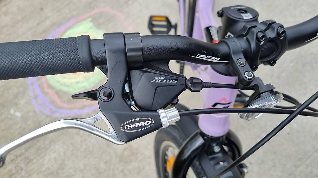 Biciclette: 24 Zoll Mountainbike Genesis Evolution – Usato da Luzern venduto da La_Favorita 1