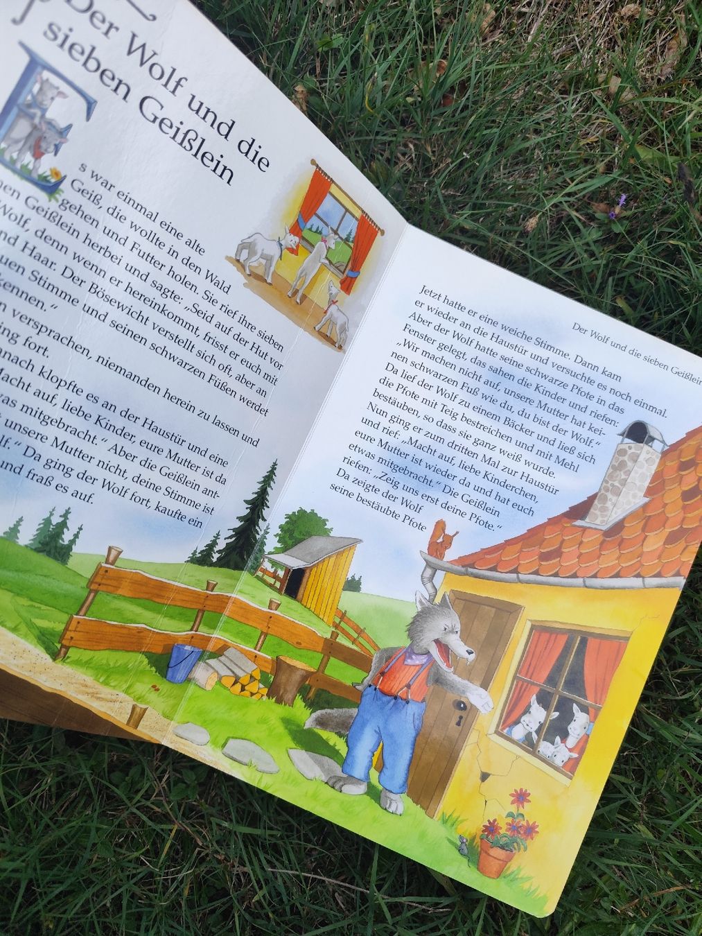 Bücher: Märchenbuch Coppenrath Es war einmal  – Gebraucht aus Mägenwil von VintageGirly 5