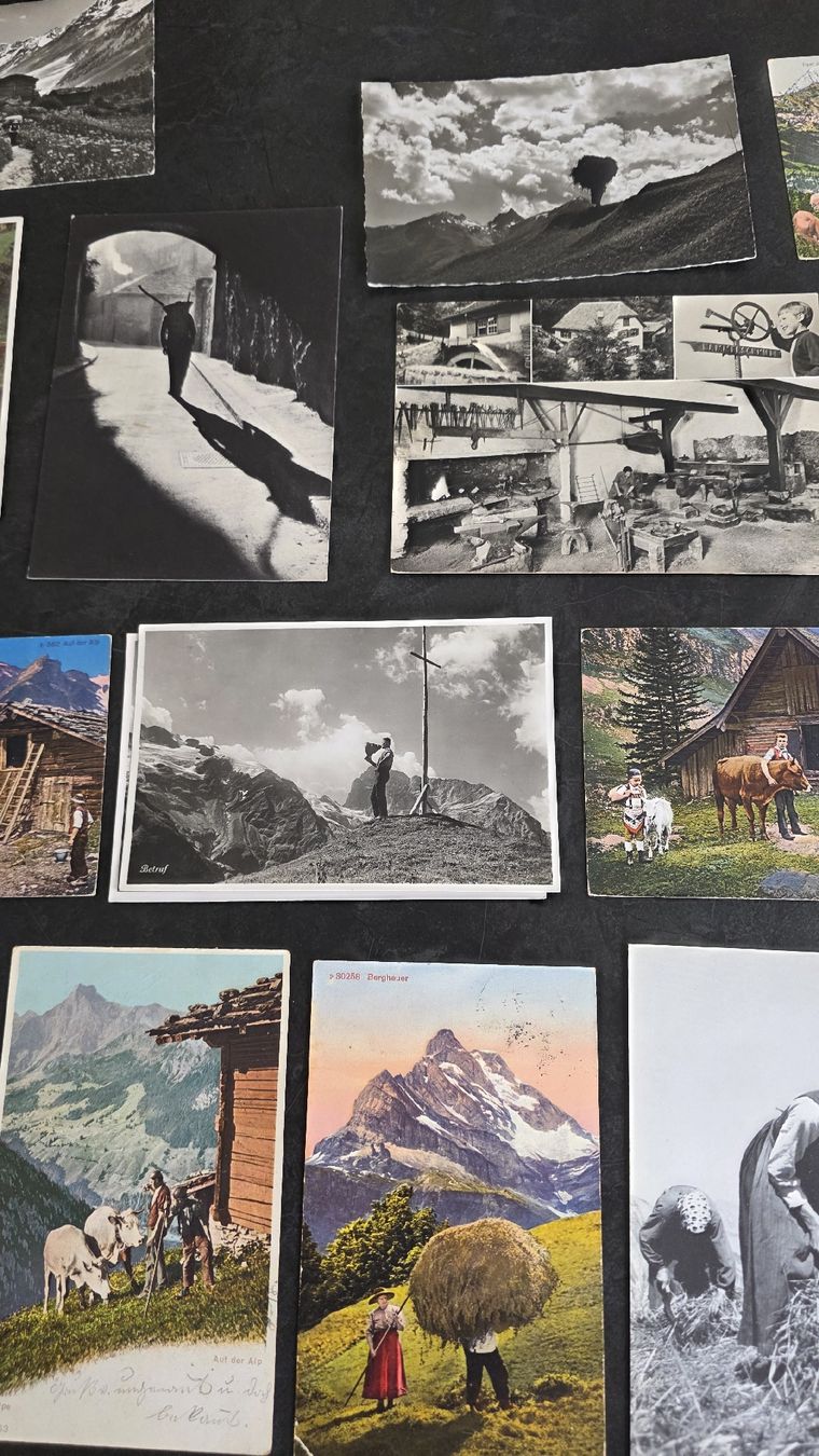 Cartoline postali: Lot AK Landwirtschaft Schweiz – Usato da Reichenburg venduto da ibiza18 3