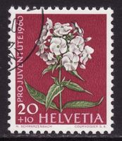 Pro Juventute SBK-Nr. 185 (Phlox 1960) gestempelt