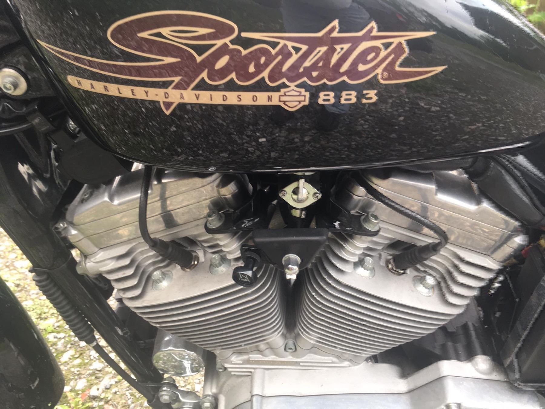 Strada: HARLEY-DAVIDSON XL 883 C53 Sportster Cus – Usato da Ringgenberg BE venduto da reber04 4