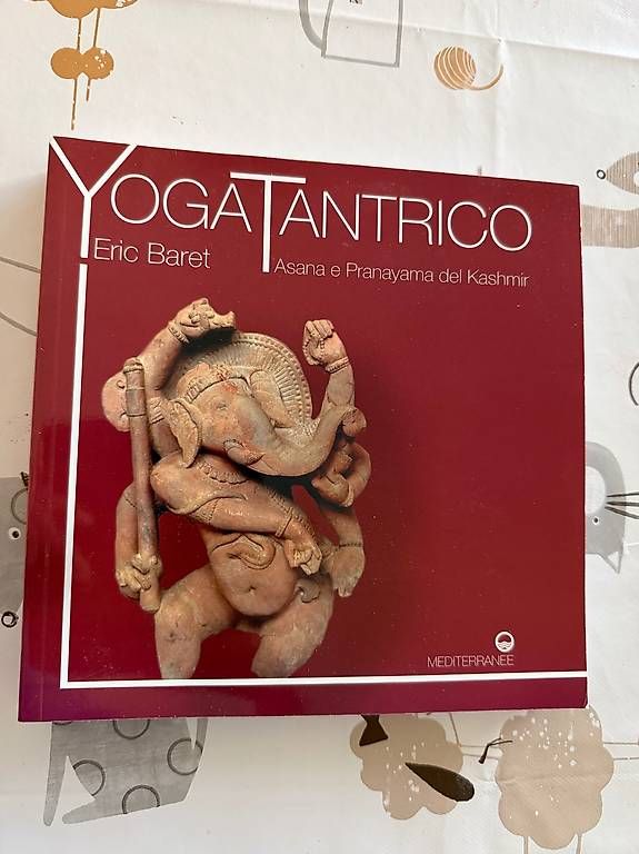 Libri: Yoga Tantrico- Eric Baret – Usato da Caslano venduto da jac_9qdd