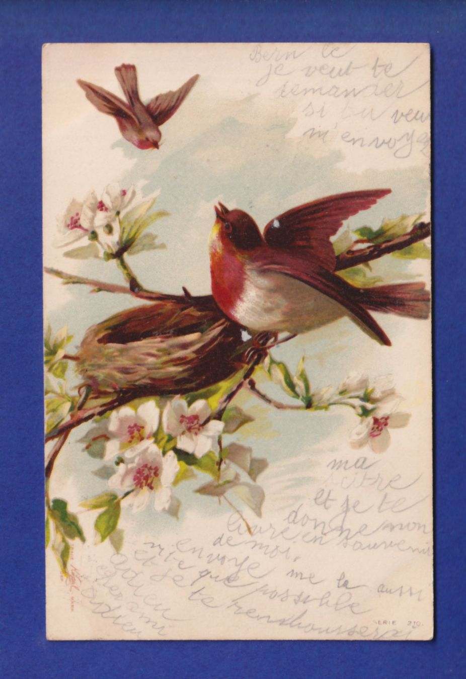 Cartoline postali: OISEAU - Rouges-Gorges – Usato da Pully venduto da nicecards-shop