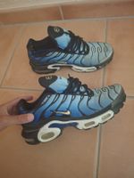 Nike Air Max Plus TN, pointure 40.5, idéales pour l'été