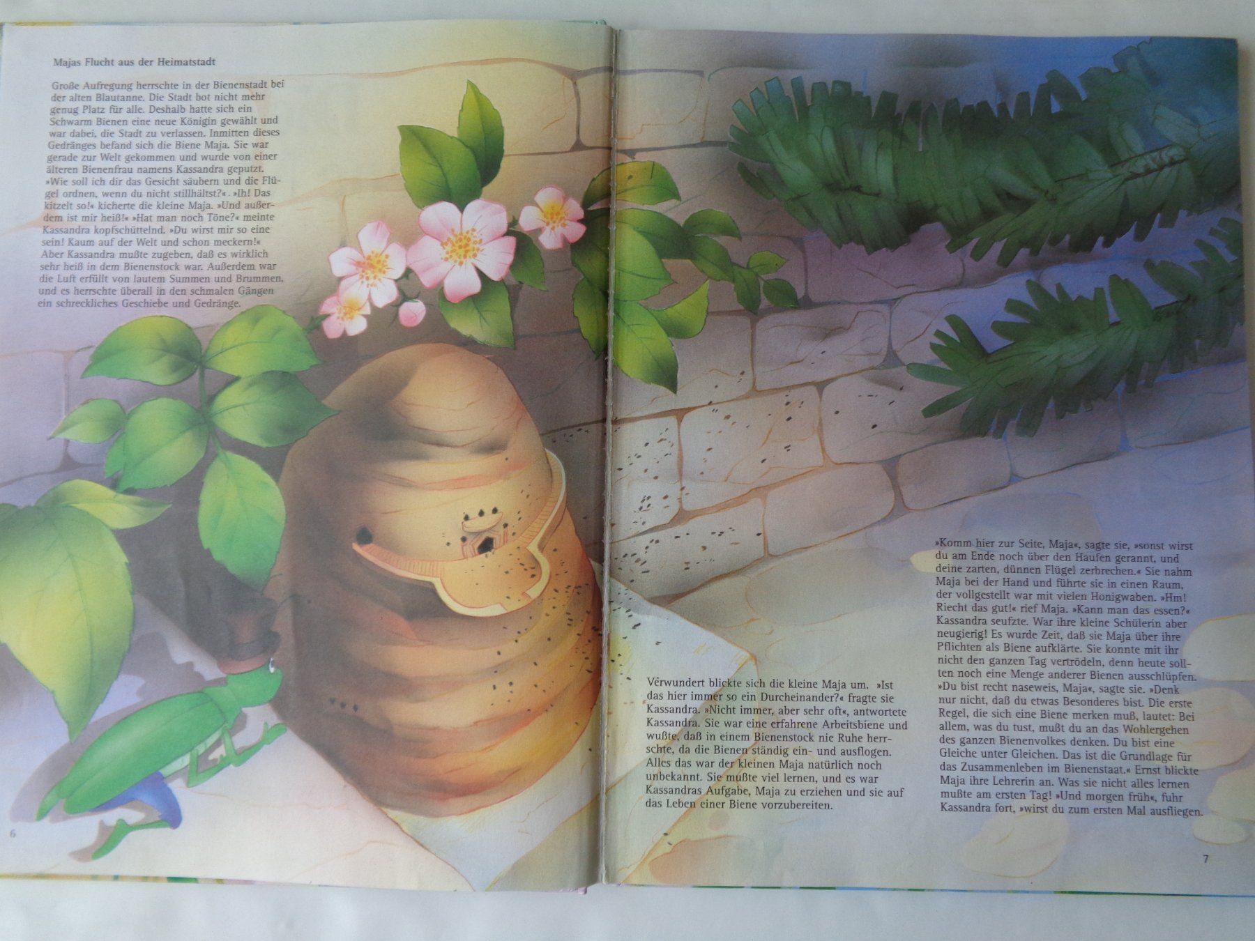 Libri: Die Biene Maja - Unipart - 1996 – Usato da Chur venduto da Oregano1 1