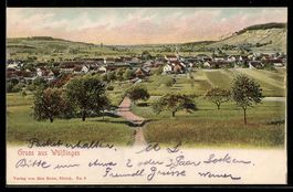 AK Wülfingen, Panorama