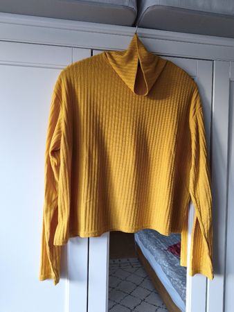Mustard yellow turtle neck