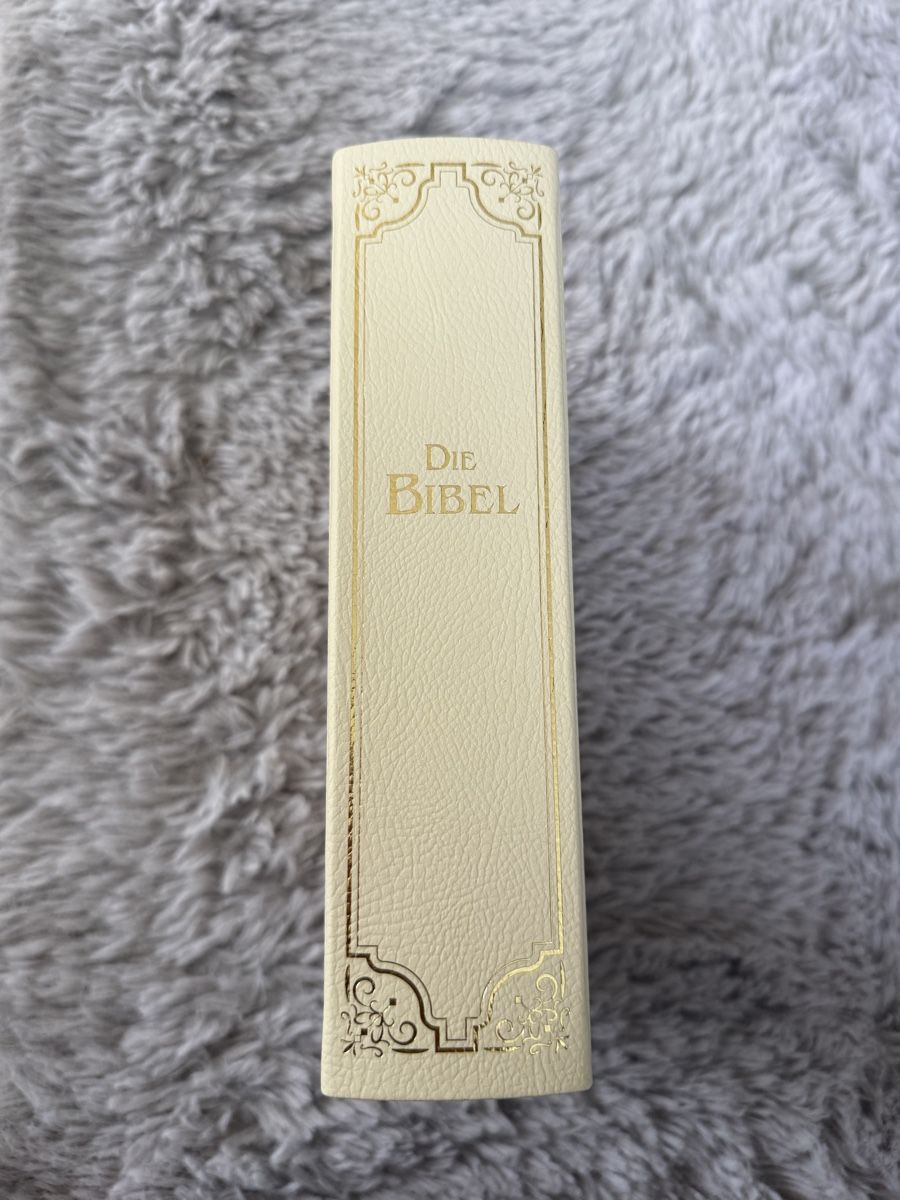 Libri: Die Bibel – Nuovo (secondo la descrizione) da Brunnen venduto da pel_vk7g 2