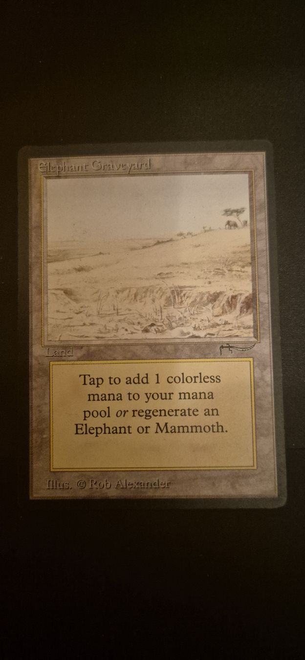 Magic The Gathering Carte collezionabili: Carte Magic Elephant Graveyard bon état – Nuovo (secondo la descrizione) da Genève venduto da Bayoushi 1