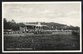 Hassloch / Pfalz, Pferdesport am Rennpla