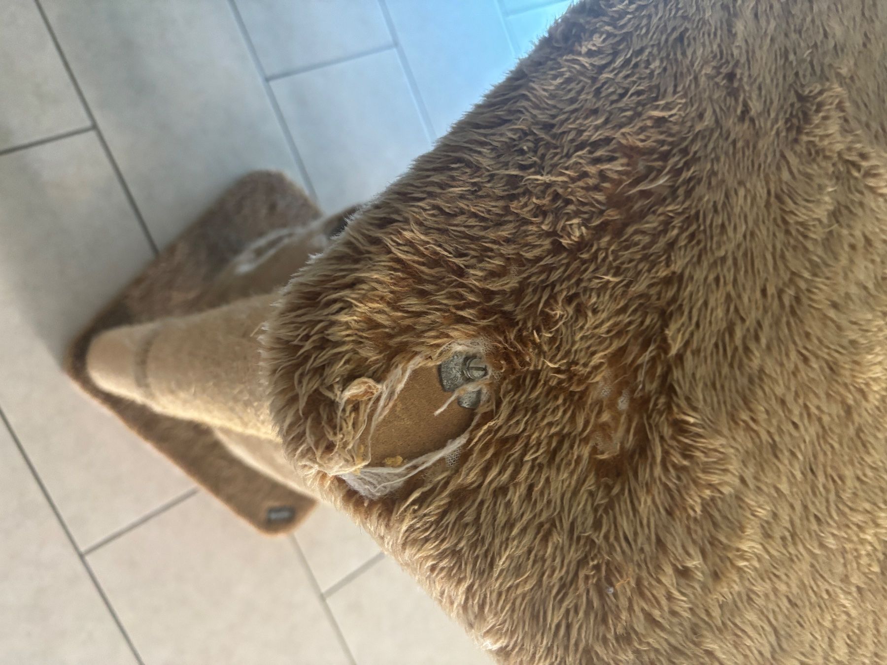 Katzenbaum - Kratzbaum: Kratzbaum – Gebraucht aus Oberdorf BL von mat_8jzj 3
