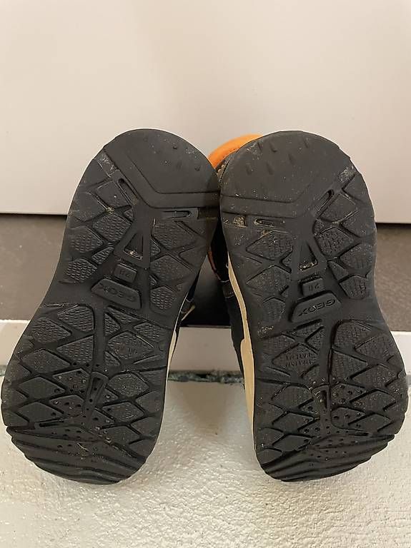 Geox Scarpe per ragazzi: Winterstiefel Geox Grösse 28 – Usato da Brütten venduto da Snowkiwi 2