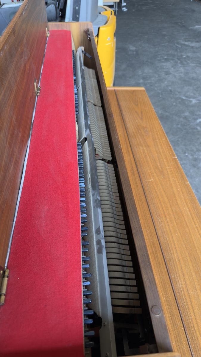 Hohner Strumenti musicali: Hohner Modell 106-1 – Usato da Dällikon venduto da Niklas2000 3