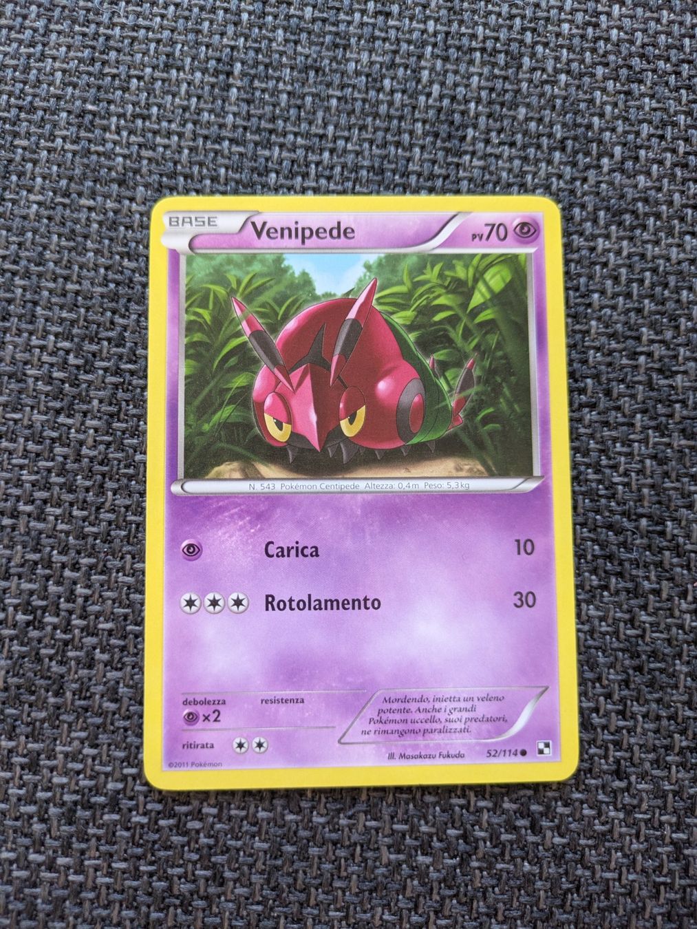 Pokémon Carte collezionabili: VENIPEDE, BLACK & WHITE, BLW52, COM, 2011, ITA, GD – Usato da Losone venduto da AlpineLayer
