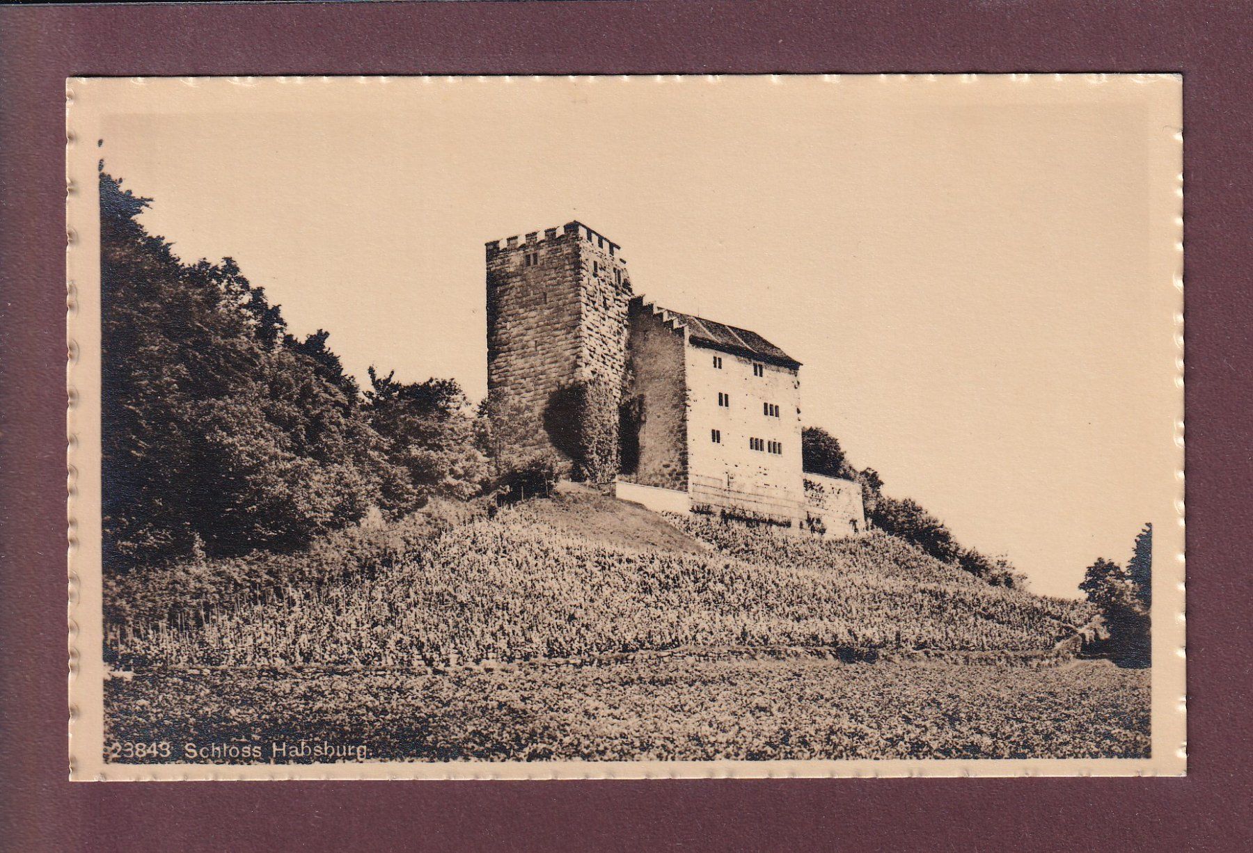 Ansichtskarten: SCHLOSS HABSBURG – Gebraucht aus Pully von nicecards