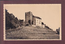 SCHLOSS HABSBURG