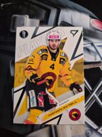 Hardy Häman Aktell SC Bern Playoffs 2025/26 Sportzoo