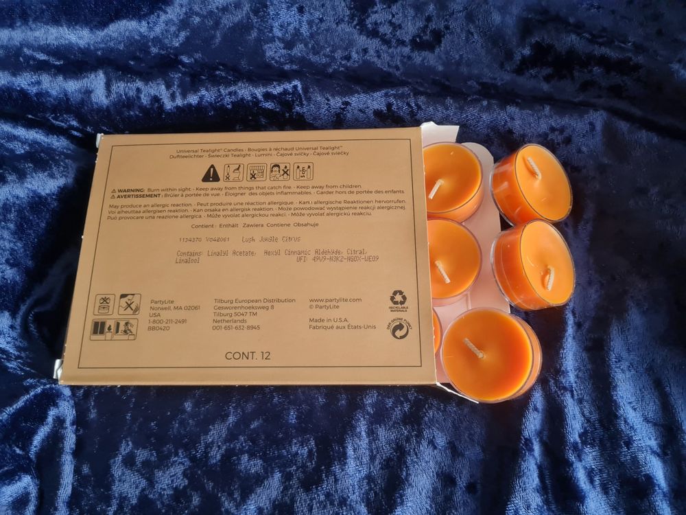 Galet De Cire PartyLite Jungle Citrus - Parfum D’ambiance - Neuf Dans Boîte