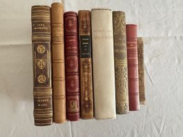 Ledergebundene alte französische Bücher