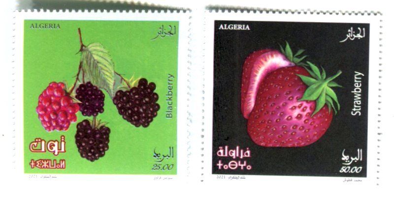 Tutti i francobolli: Briefmarken "Erdbeeren & Brombeeren". Algerien – Nuovo e nell'imballaggio originale da Basel venduto da Butsch5