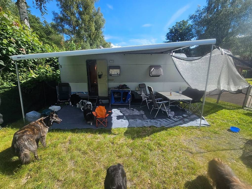 Tende da sole: Thule Markise Omnistor 6300, 5 x 2.5m – Usato da künten venduto da Agility86 1