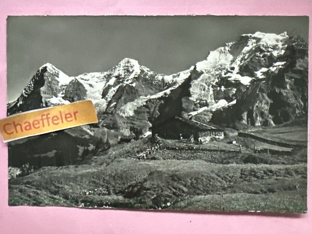 Cartoline postali: 1947 Mürren. Eiger, Mönch und Jungfrau  – Usato da Zürich venduto da Chaeffeler
