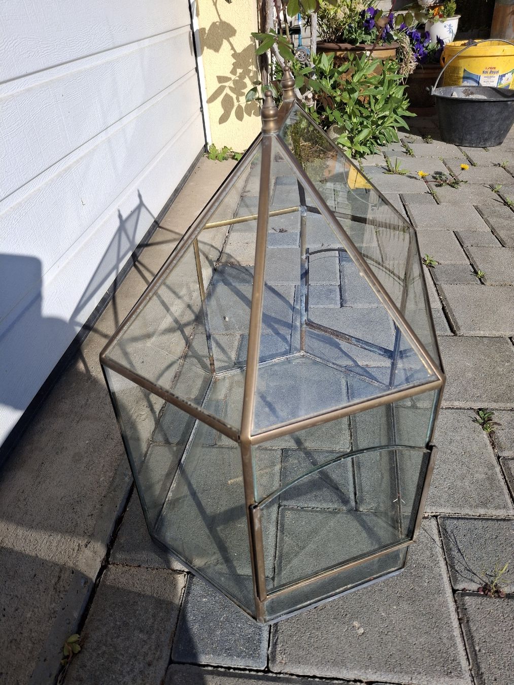 Terrariums: Terrarium – D'occasion à Salavaux par oski06 1