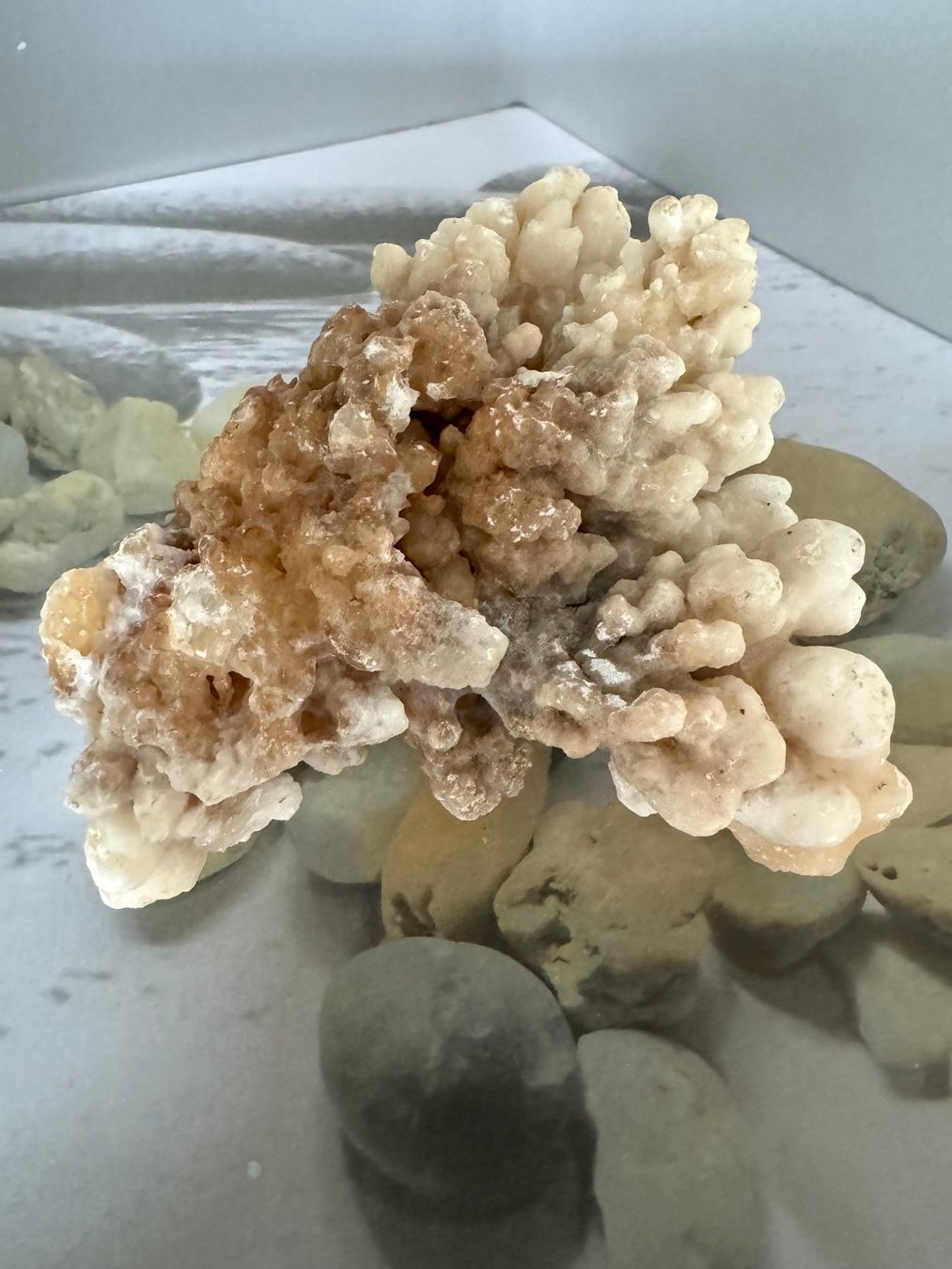 Mineralien & Heilsteine: Calcit-Stufe Korallenform – Neu (gemäss Beschreibung) aus Biberist von Steine