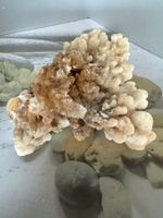 Calcit-Stufe Korallenform