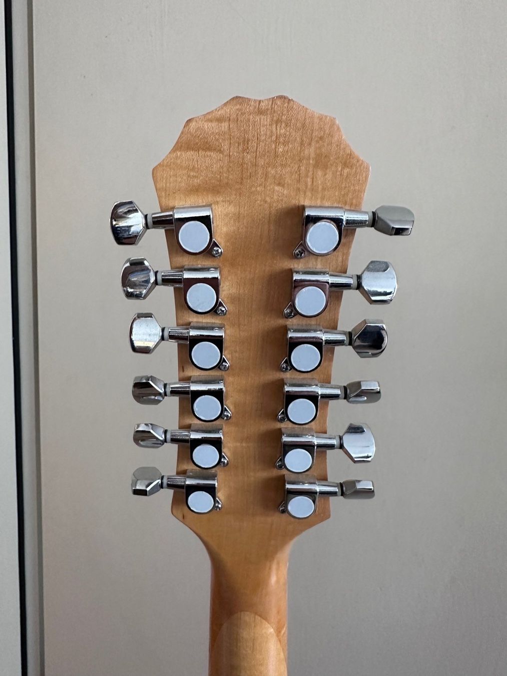Instruments de musique: MPM Instruments 12-saitige Elektrogitarre – D'occasion à Hinwil par Wutu 7