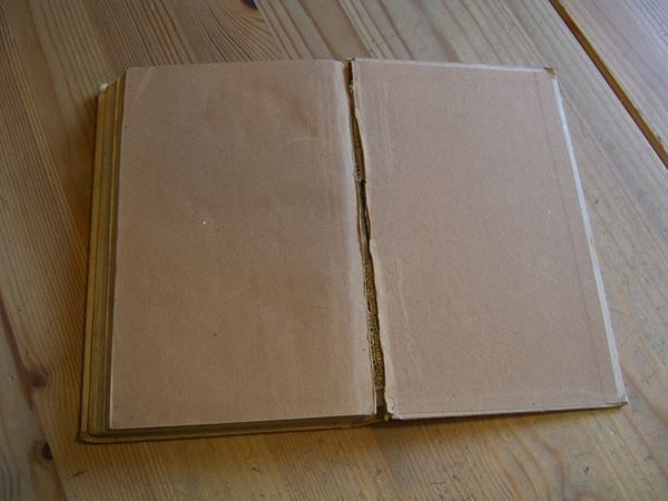 Libri: Das Land des Glücks,1919,v. J.Falk-Rönne – Usato da Winterthur venduto da Gaia 5