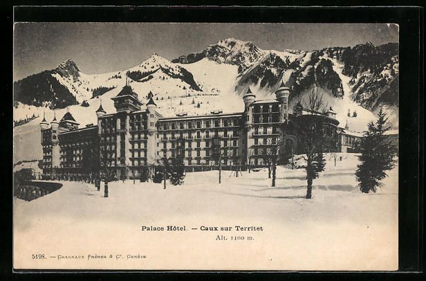 Cartoline postali: AK Caux, Palace Hotel im Winter – Usato da Berlin venduto da bartko-reher