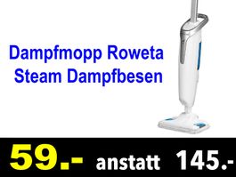🔴 Dampfmopp ROWETA Steam Power Dampfbesen /521Z
