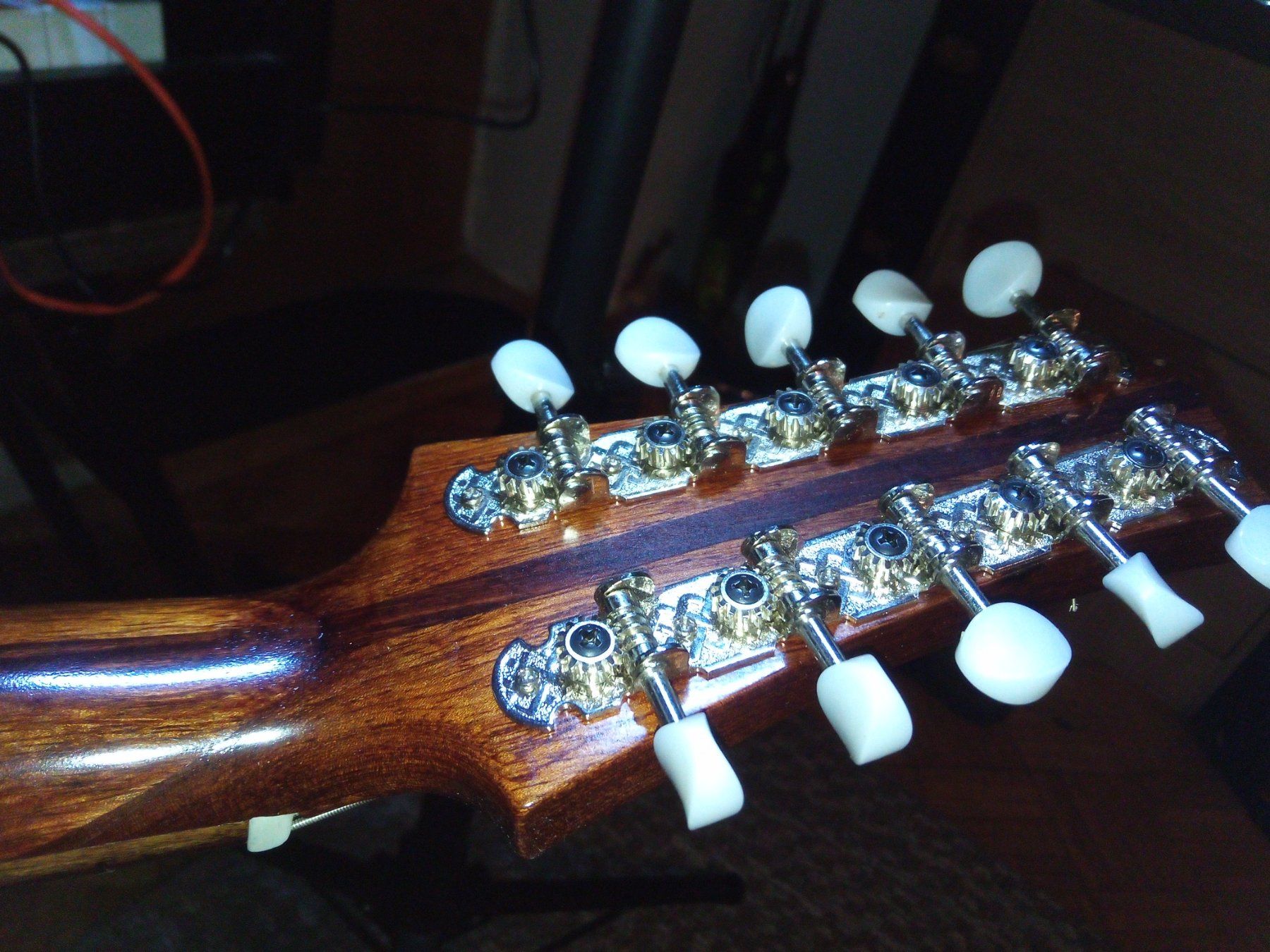 Strumenti musicali: 10-saitige Mandoline -  Luthier/Gitarrenbauer Ivan Rodrigues – Nuovo (secondo la descrizione) da Ruschein venduto da vin_9b8c 4
