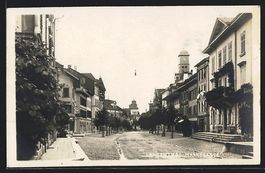 AK Langenthal, Marktgasse mit Bäumen