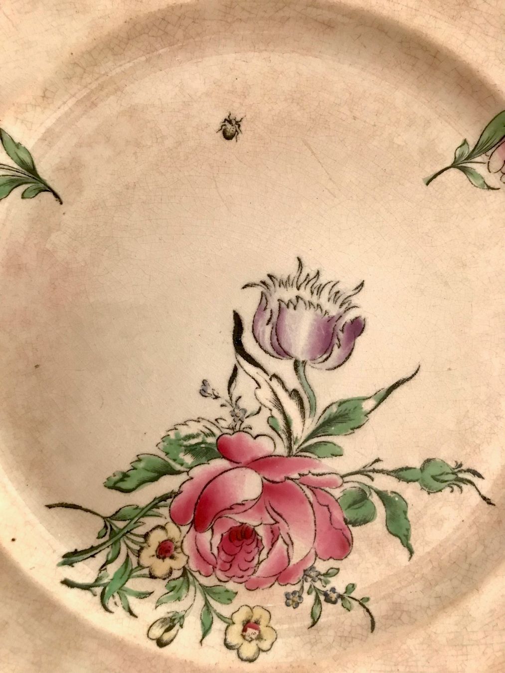 Piatti: ANCIENNE ASSIETTE LUNEVILLE – Usato da Losone venduto da courrier 2