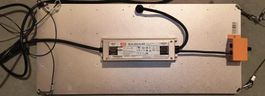 LED Grow Lampe XLG-240-H-AB - Effiziente Pflanzenbeleuchtung