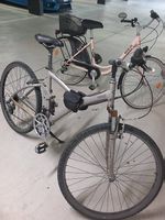 Citybike donna e uomo