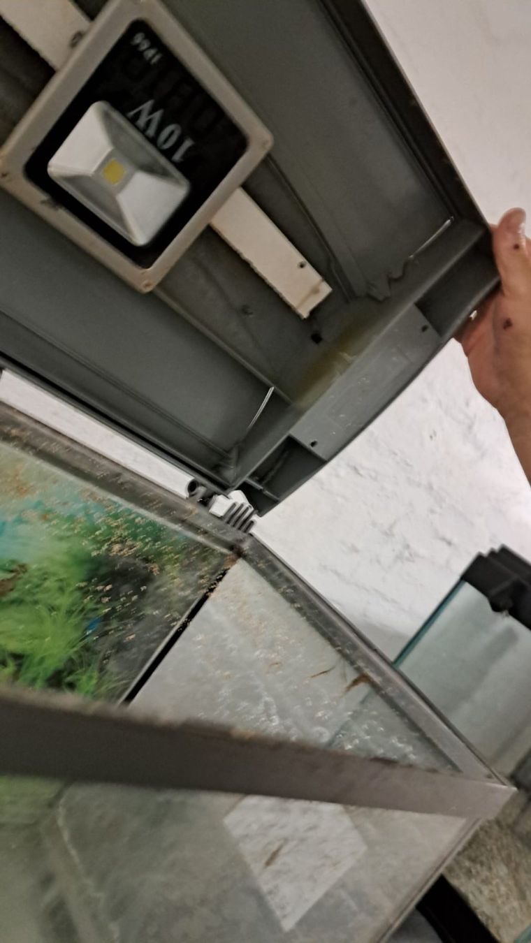 Aquarium: Aquarium – D'occasion à Oberentfelden par Myri13 3