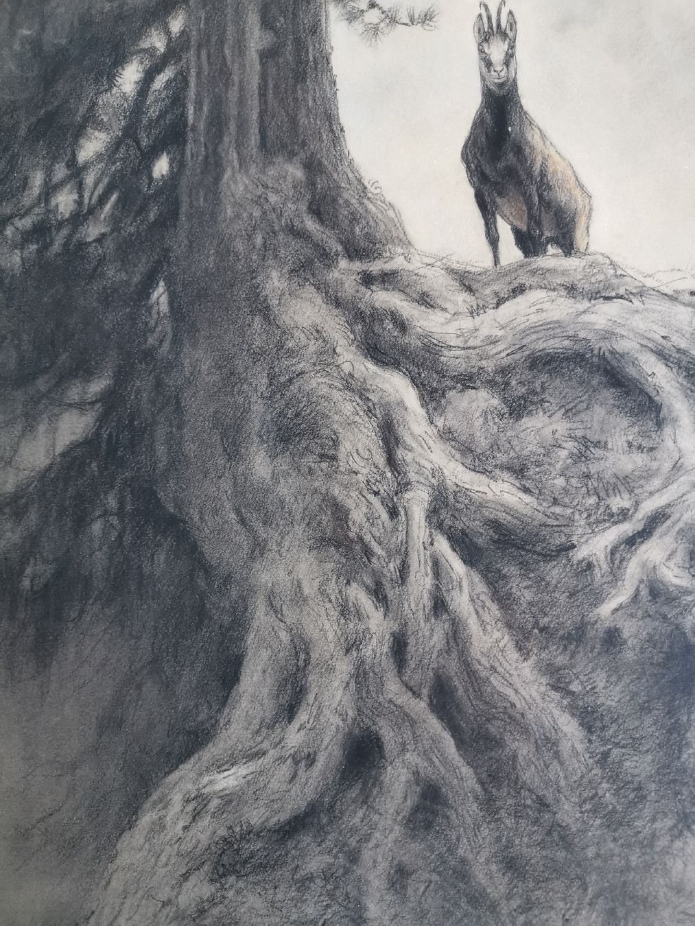 Dipinti: Dessin de Xavier de Poret – Usato da Farvagny-le-Grand venduto da CollectibleWatches 3