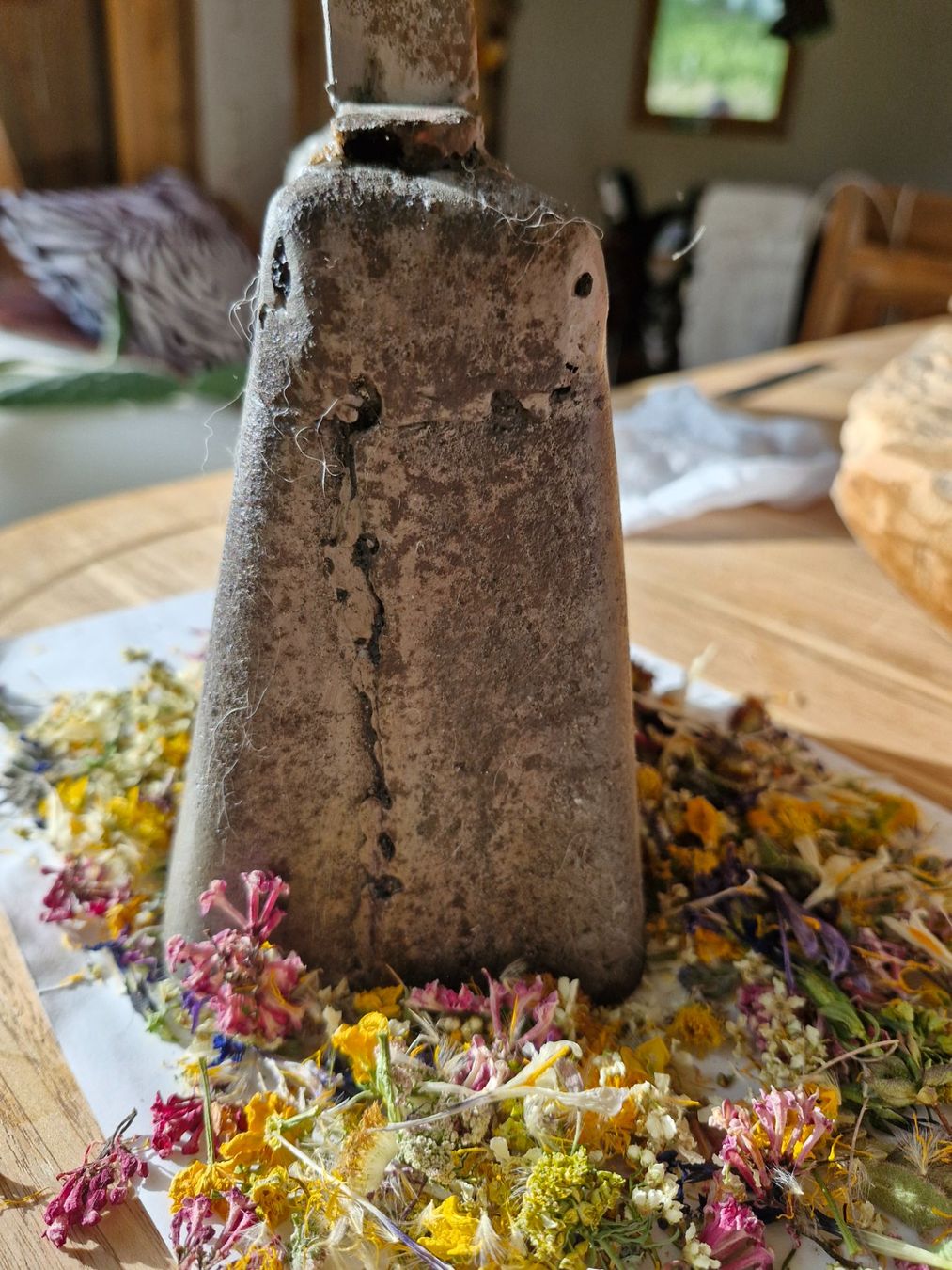 Campanacci mucche: Glocke Treichel – Usato da Guarda venduto da rue_bpd7 1